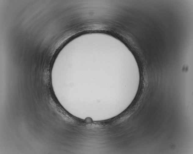 X0000113941073200911061236