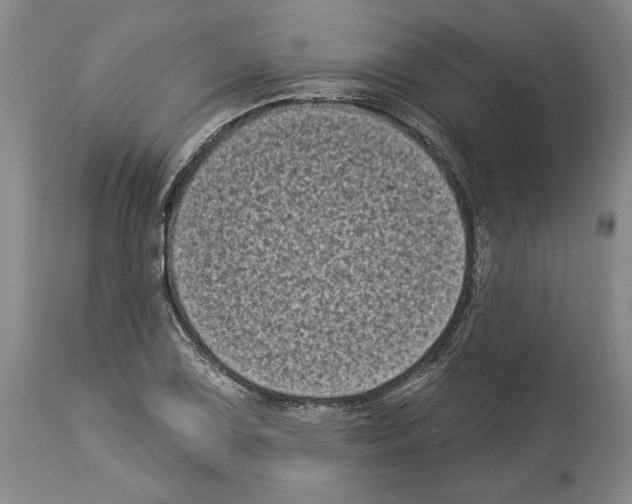 X0000113941075200911061236