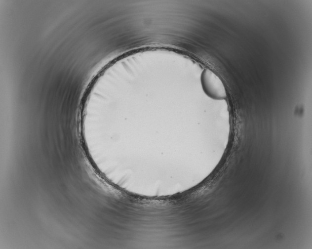 X0000113941076200911061236