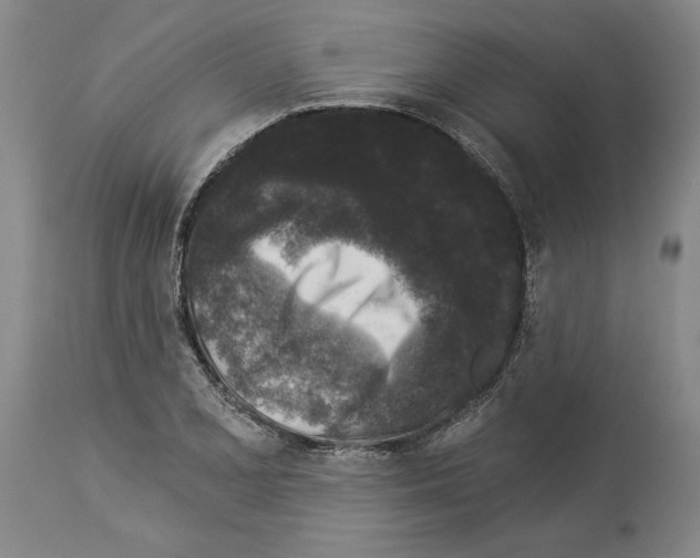 X0000113941077200911061236