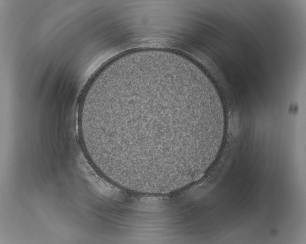 X0000113941078200911061236