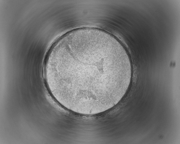 X0000113941080200911061236