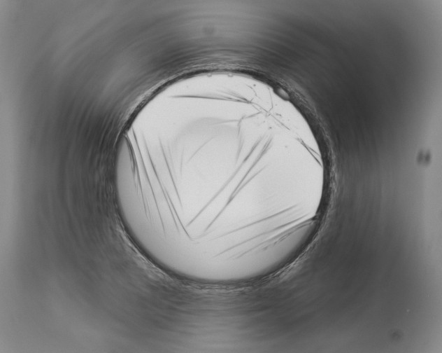 X0000113941081200911061236