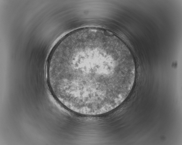 X0000113941084200911061236