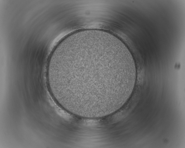 X0000113941086200911061236
