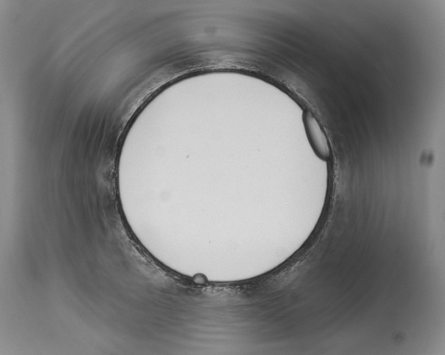 X0000113941089200911061236