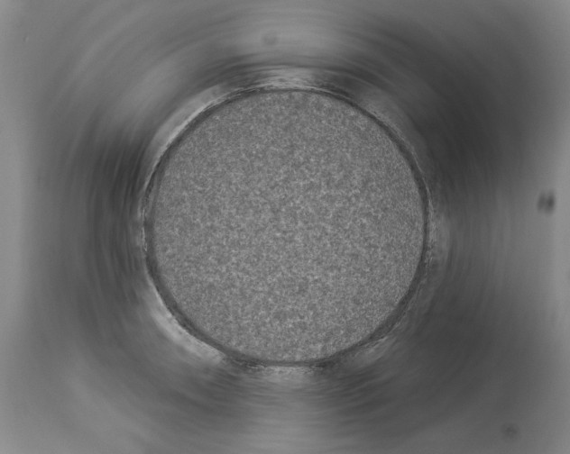 X0000113941090200911061236