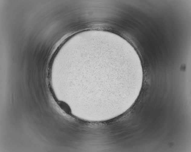X0000113941091200911061236
