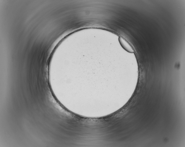 X0000113941092200911061235