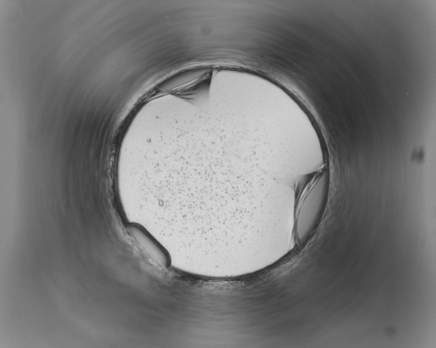 X0000113941093200911061235