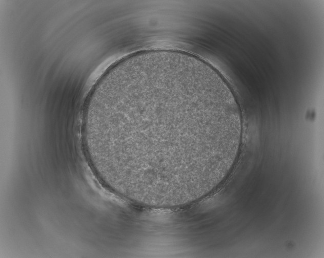 X0000113941094200911061235
