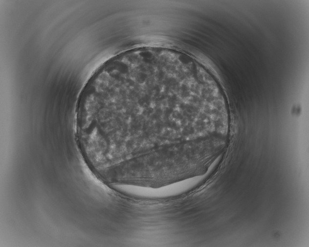 X0000113941095200911061235