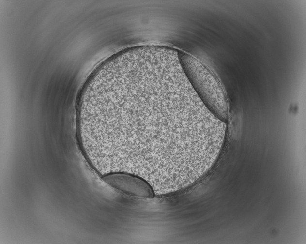 X0000113941096200911061235