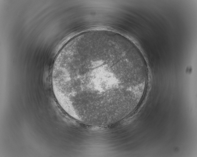 X0000113941097200911061235