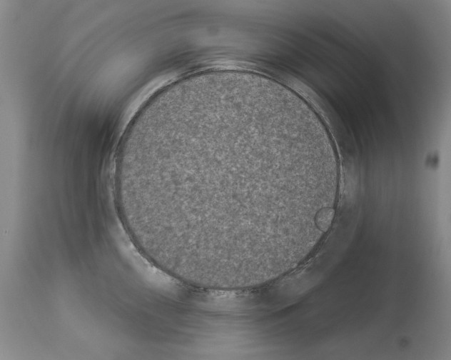 X0000113941098200911061235