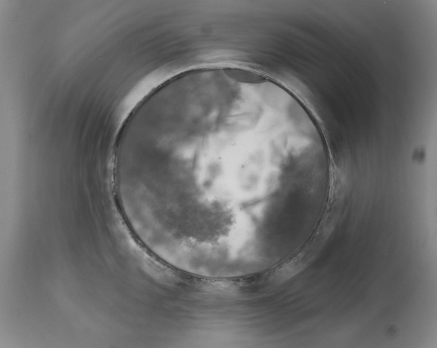 X0000113941101200911061235