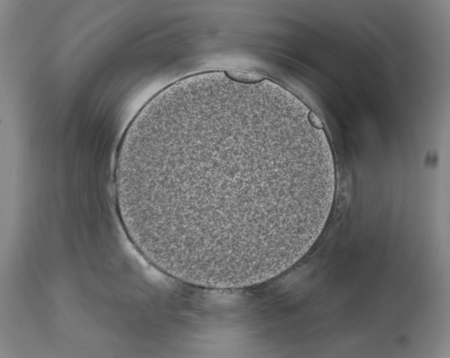 X0000113941103200911061235