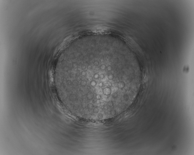 X0000113941106200911061235