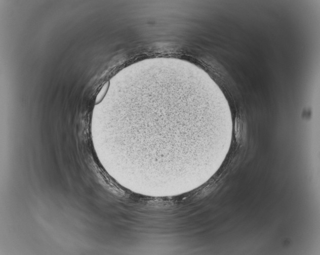 X0000113941107200911061235