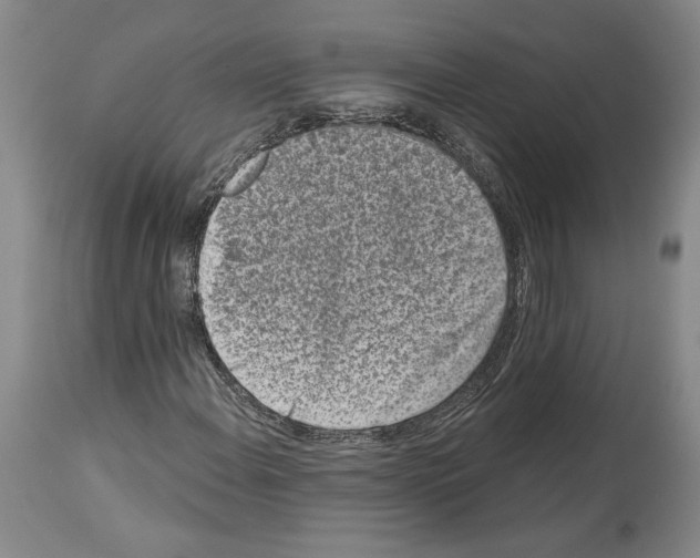 X0000113941108200911061235