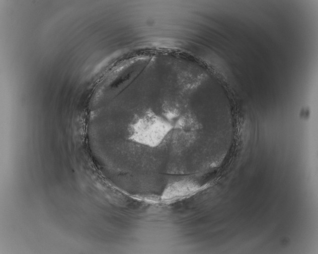X0000113941110200911061235