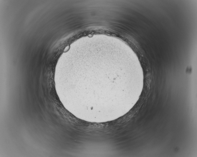 X0000113941111200911061235