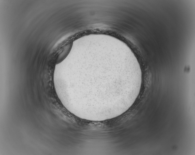 X0000113941112200911061235