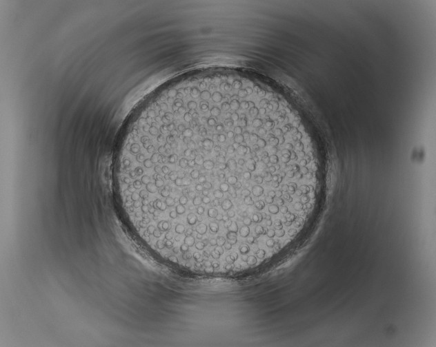 X0000113941113200911061235