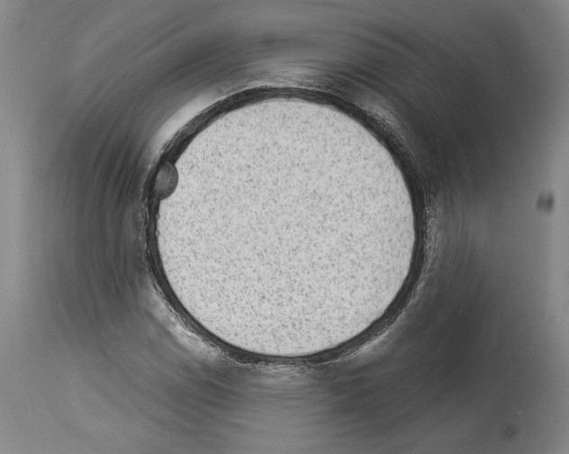 X0000113941114200911061235