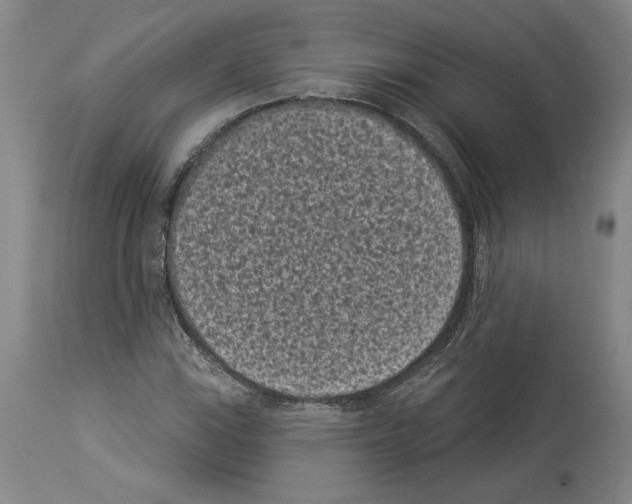 X0000113941115200911061235