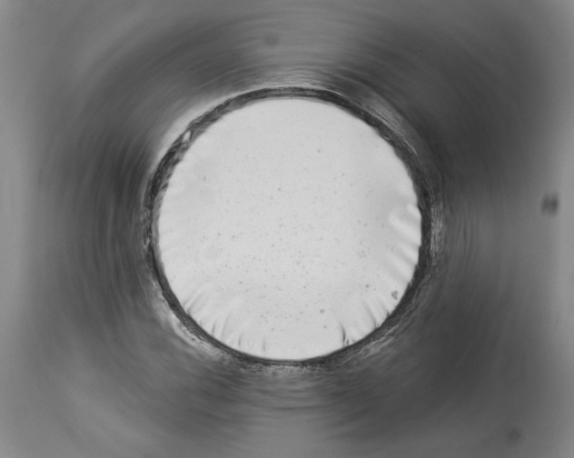 X0000113941116200911061235