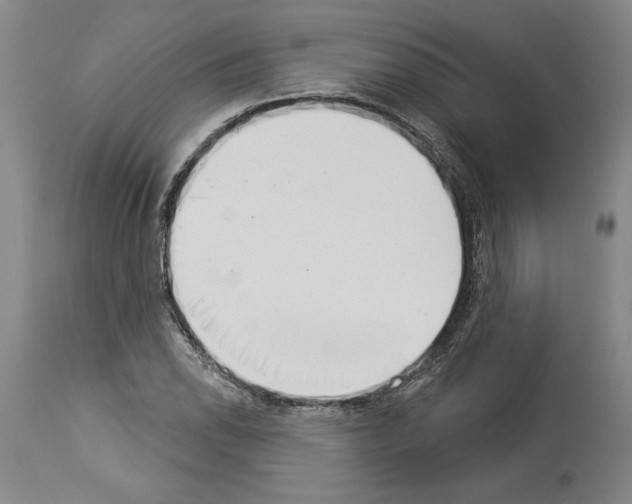 X0000113941118200911061235
