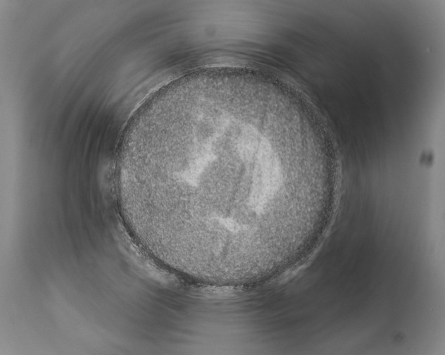 X0000113941121200911061235