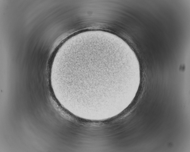 X0000113941122200911061235