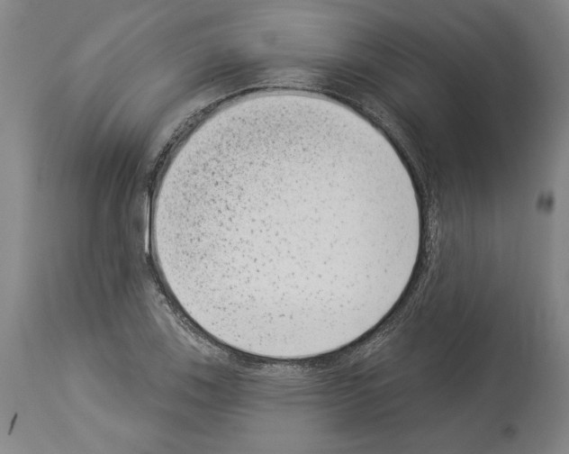X0000113941123200911061235