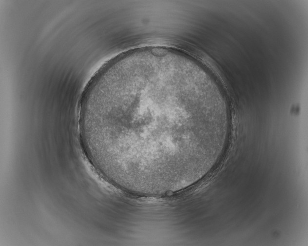 X0000113941124200911061235