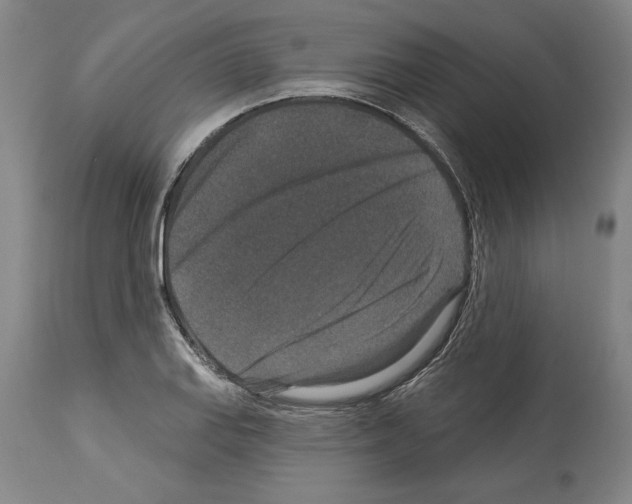 X0000113941127200911061235