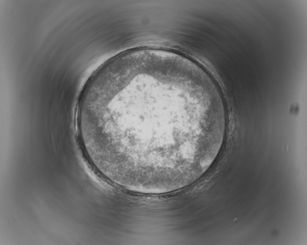 X0000113941128200911061235