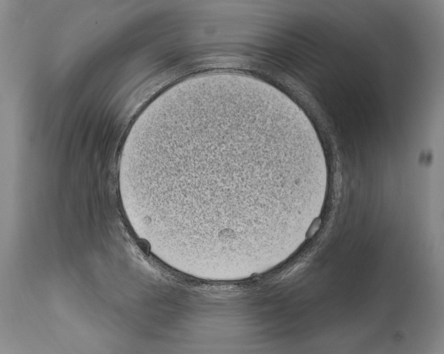 X0000113941129200911061235