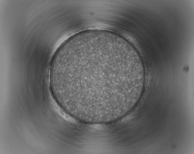 X0000113941130200911061235