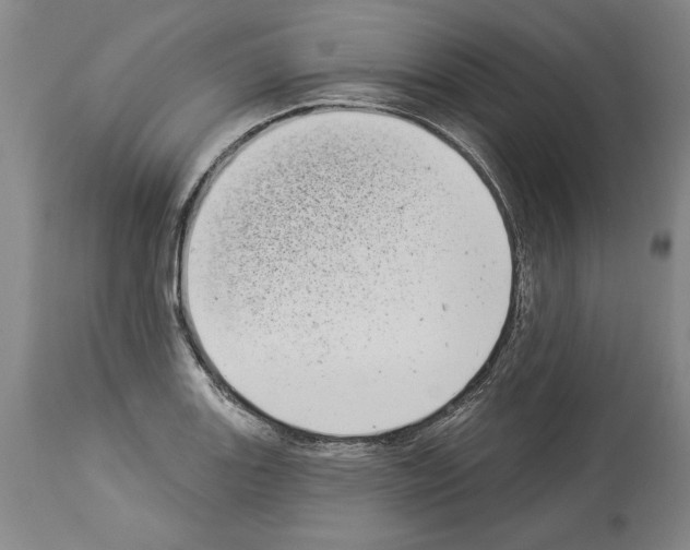 X0000113941131200911061235