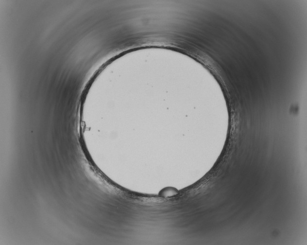 X0000113941132200911061235