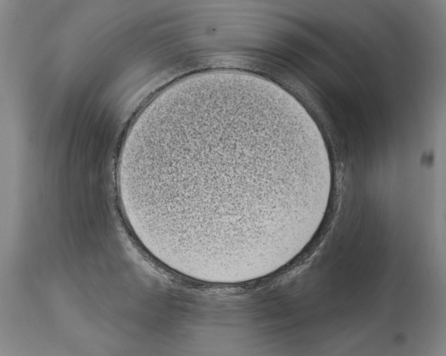 X0000113941133200911061235