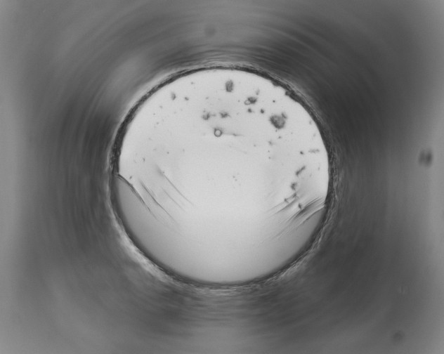 X0000113941134200911061235