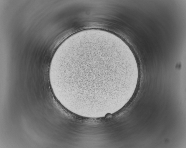 X0000113941137200911061235