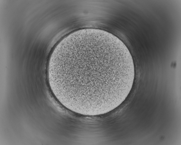 X0000113941138200911061235