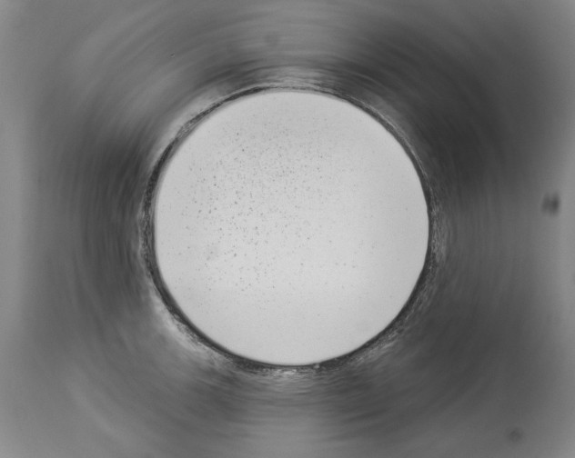 X0000113941139200911061235