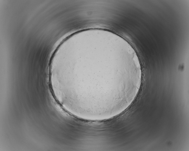 X0000113941140200911061235