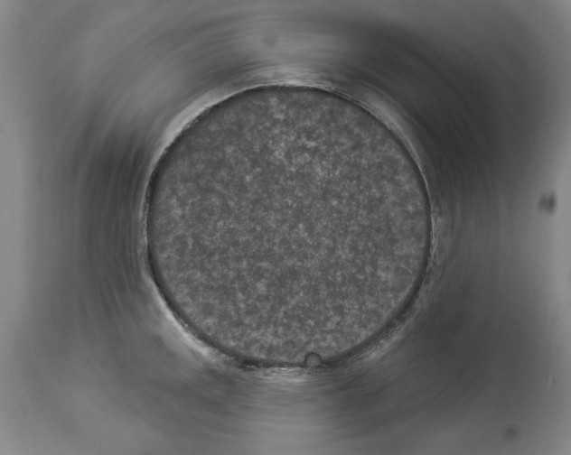 X0000113941141200911061235