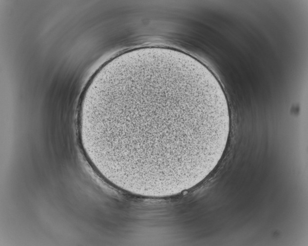 X0000113941142200911061235